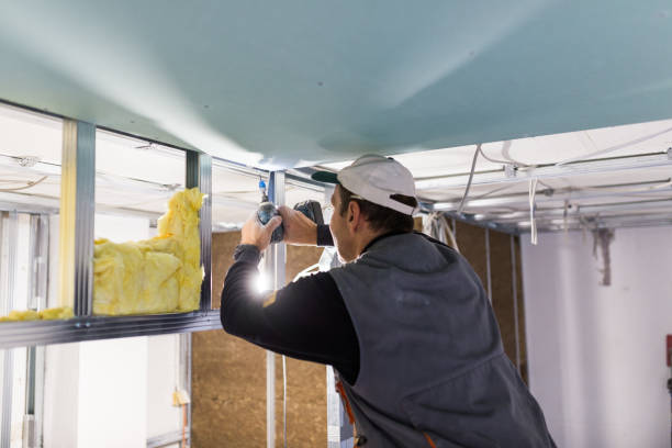 Best Eco-Friendly or Green Insulation Solutions  in Pleasant Hill, IA